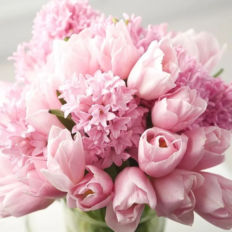 Какие цветы подарить на 8 марта: советы флориста