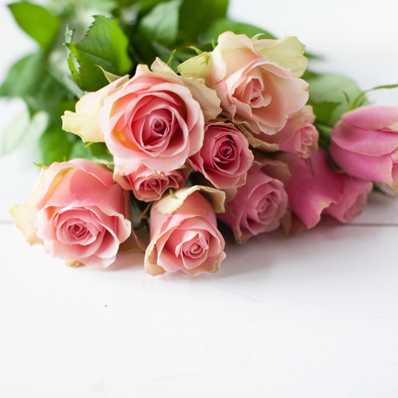 Рекомендации флористов по выбору свежих роз